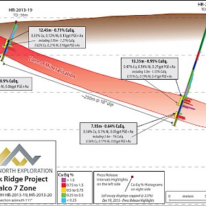 Falco 7 Zone X-section 19 - 20